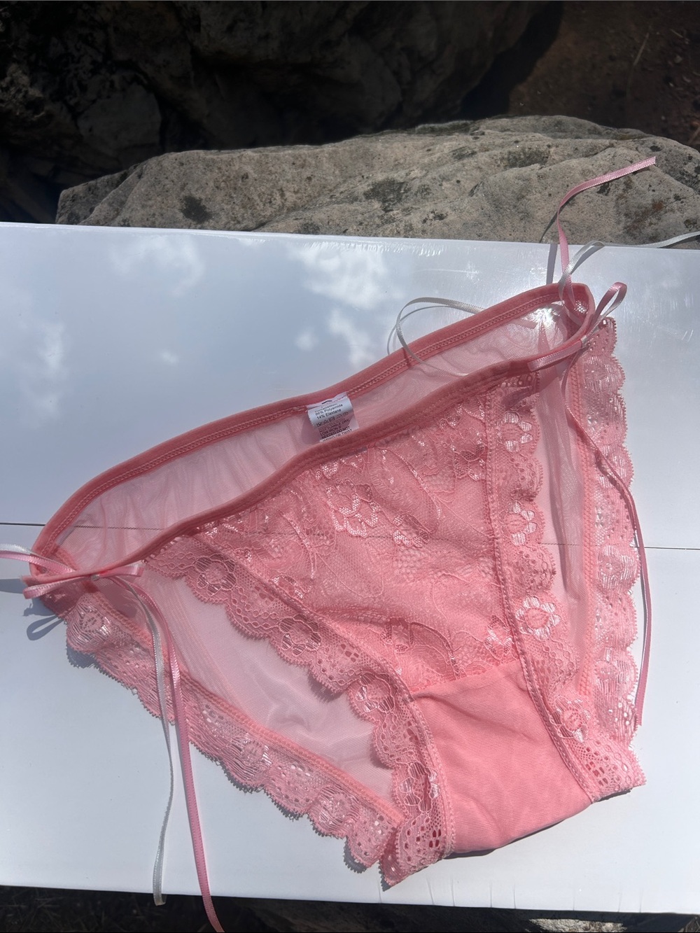 Sheer Lace Bikini Panty in Soft Pink M